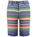 Colorful Stripes Pattern Wave Embroidered Straight Leg Zipper Fly Shorts For Men - Green M