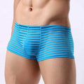 Low Rise U Convex Boxers