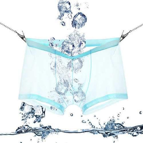 Sexy Ice Silk Transparent Thin Breathable Boxers